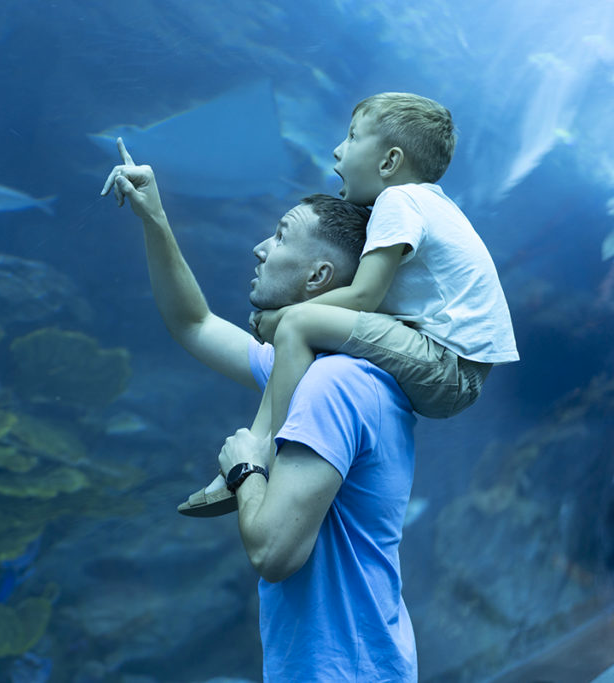 Qweekl Logiciel de gestion Aquarium